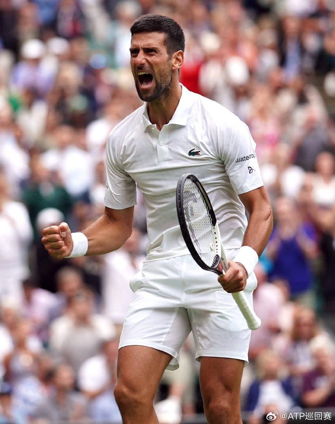 增添了更多 增添了更多