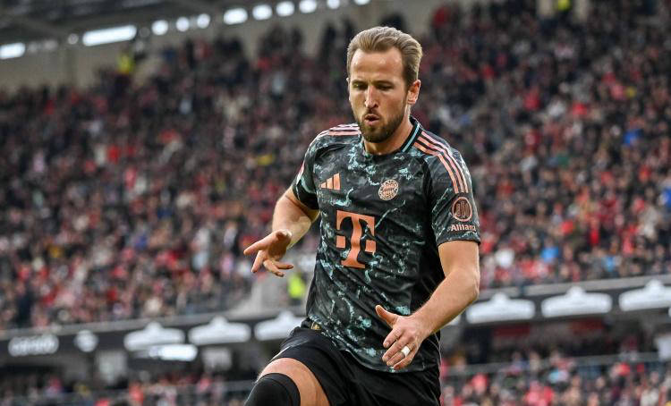 正如国际知 正如国际知