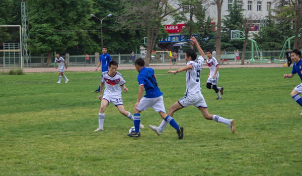 本文将深入 本文将深入