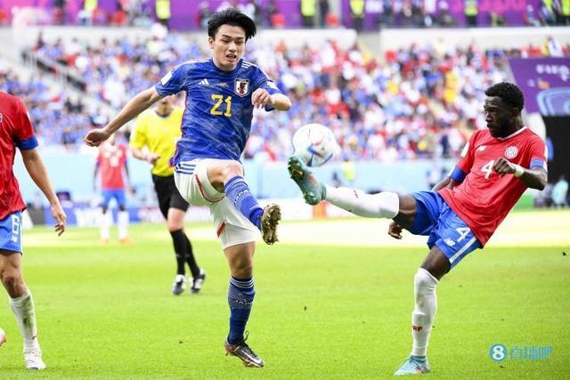 关命运的公 关命运的公